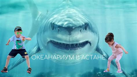 ОКЕАНАРИУМ В АСТАНЕ. Незабываемые впечатления. - YouTube