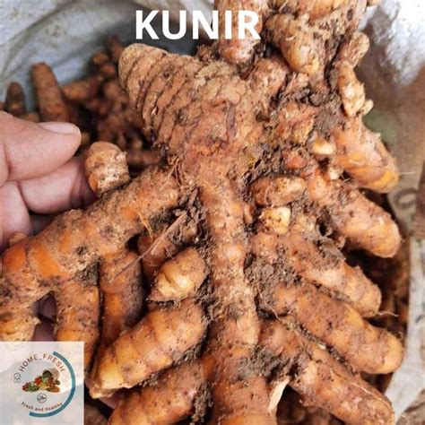 Jual KUNYIT KUNIR SEGAR LOKAL REMPAH REMPAH 1 KG Shopee Indonesia