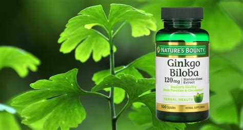 Para qué sirve el ginkgo biloba beneficios para el cerebro y efectos