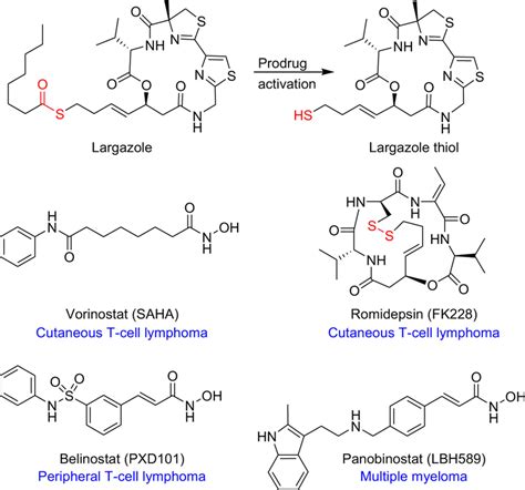 Structures Of Largazole Largazole Thiol And The Four FDA Approved