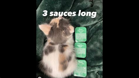 2 Sauces Long Youtube