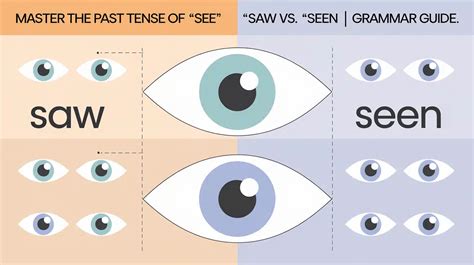 Master The Past Tense Of See Saw Vs Seen Grammar Guide Grammar Glow