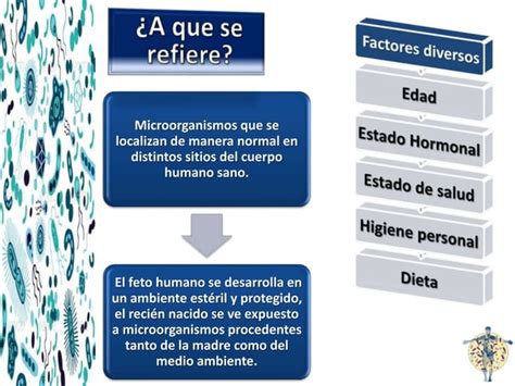 Enfermedades Infecciosas Tipos Principales De Microorganismos Defensa