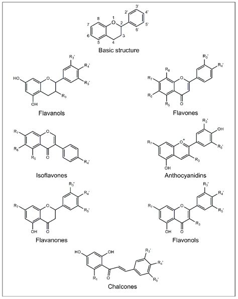 Basic Chemical Structure Of Flavonoids And General Molecular Structures