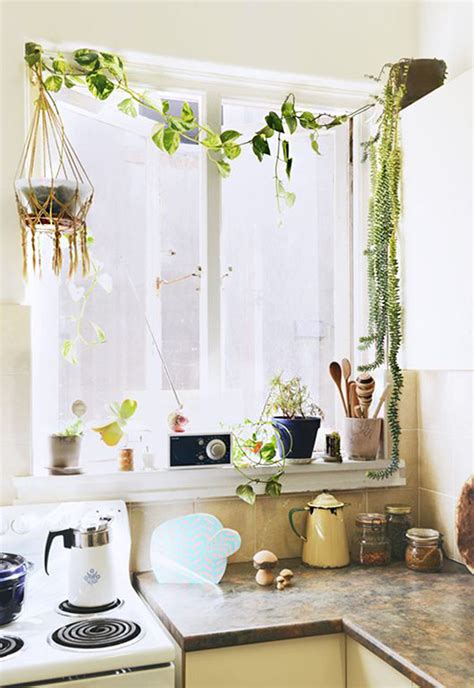 Ideas Pr Cticas Para Decorar La Cocina Con Plantas Y Darle Un Estilo