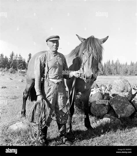 Finnland Farmer Fotos Und Bildmaterial In Hoher Aufl Sung Alamy