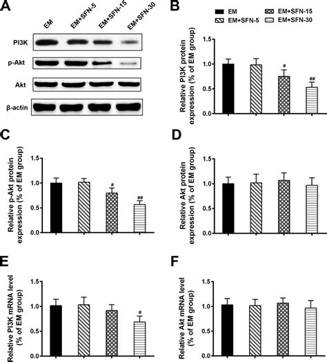 Effects Of Sulforaphane On The Expressions Of Pi3kakt Signaling Download Scientific Diagram