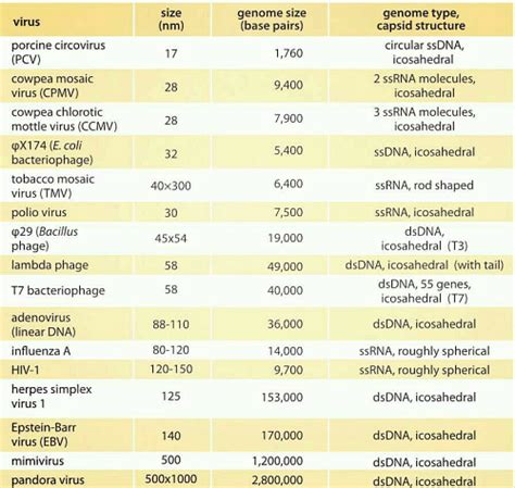 Smallest And Largest Plant Virus Edurev Neet Question