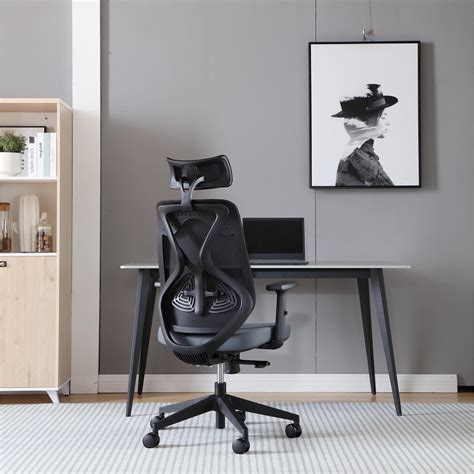 Ergodc Ergonomic Designer Office Chair High Back Mesh Ergodc