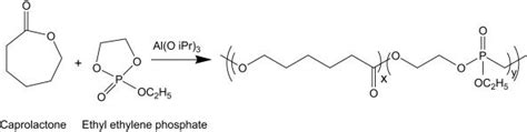 Synthetic Route To Poly Caprolactone Co Ethyl Ethylene Phosphate