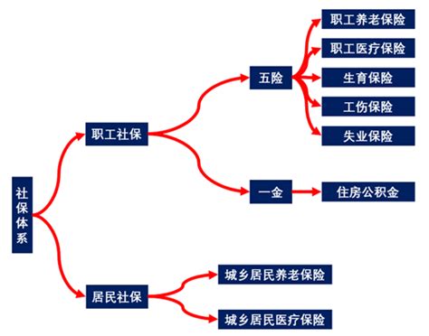 辞职后社保怎么处理？——读这篇就够了 知乎