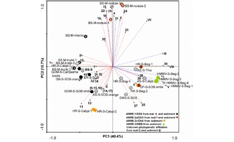 Pca Plot Displaying The Distribution Of Ipls In The Sample Set Samples