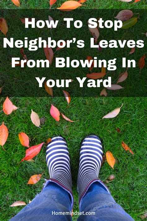 How To Stop Neighbor’s Leaves From Blowing In Your Yard (4 Ways)