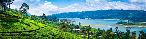 Nuwara Eliya Sri Lanka Colonial Legacy Scenic Beauty