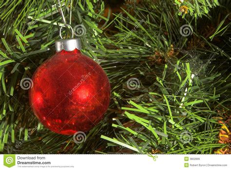 Esfera Vermelha Do Natal Imagem De Stock Imagem De Vidro