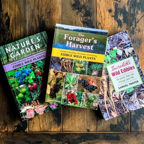 12 Best Books On Foraging And Wildcrafting