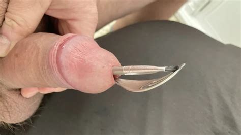 Urethral Sounding Session And Multiple Insertions Australian Gay BDSM