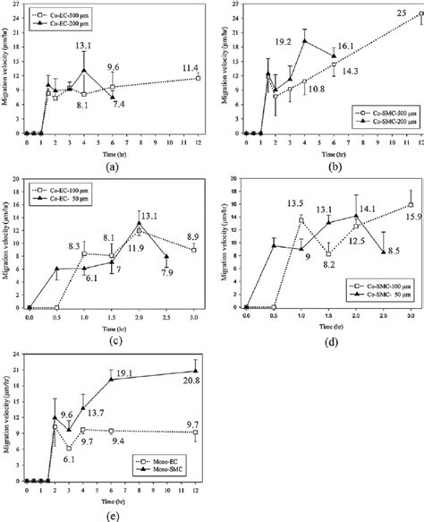 The Relationship Between The Reaction Time And Migration Velocity At