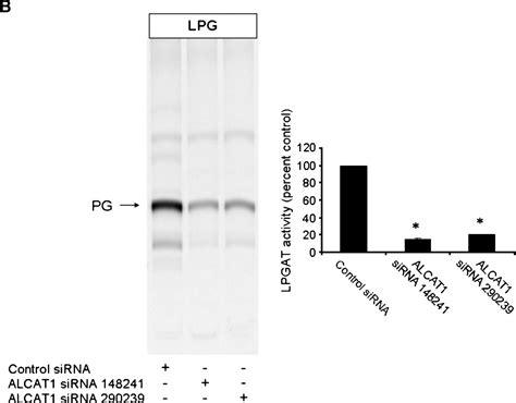 The Microsomal Cardiolipin Remodeling Enzyme Acyl Coa Lysocardiolipin