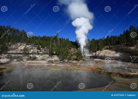 Geyser Erupting In Yellowstone Stock Image Image Of National Lake