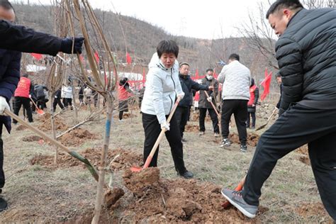 焦作市解放区：节后上班第一天 义务植树添新绿 中国搜索河南