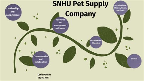 Snhu Pet Supply Company By Corie Mackey On Prezi