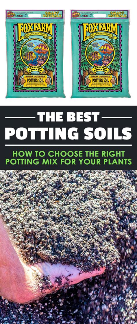 The Best Potting Soils How To Choose The Right Potting Mix For Your