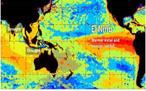 El Nino Berpotensi Pengaruhi Produksi Pertanian