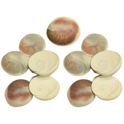 Buy SHREERUDRA Original Natural Stone Gomati Chakra For Puja White