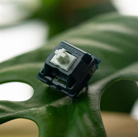 Silent Switches for Mechanical Keyboards | Kinetic Labs