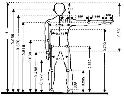 Standards For Dimensions 3 Rozmery Human Dimension User Centered