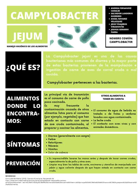 Microorganismos Patogenos 2 Campylobacter Jejum Andrea Fernandez Canales Salvador Landeros