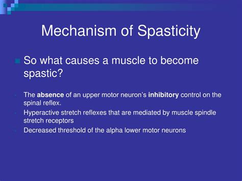 Ppt Spasticity What Causes It And Can It Be Inhibited Powerpoint Presentation Id 1245188