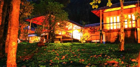 Perfect Honeymoon in Wayanad: Romantic Resorts for Couples