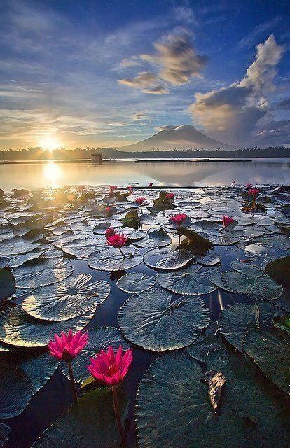 Sunrise in Sampaloc Lake, Laguna, Phillippines | A1 Pictures