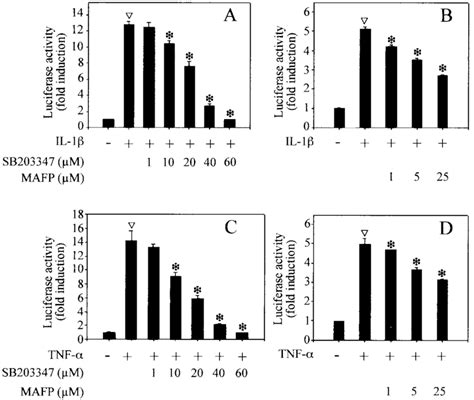 Effect Of Pla Inhibitors On Tnf And Il Induced Nf B Dependent