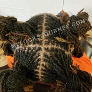 How To Start Dreads Pros Cons Of Each Loc Method My Locks Journey