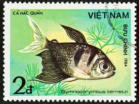 Black Tetra Fish On Postage Stamp Editorial Stock Image Image Of