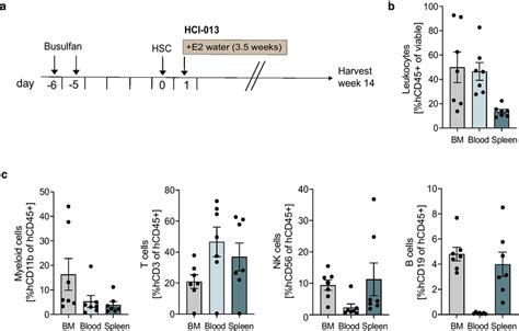 Exogenous E2 Supplementation In Immune Humanized Mice Bearing HCI 013