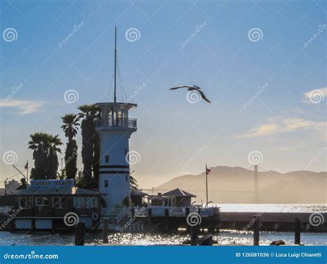 San Francisco Bay Area Lighthouse Editorial Photo Image Of Lighthouse