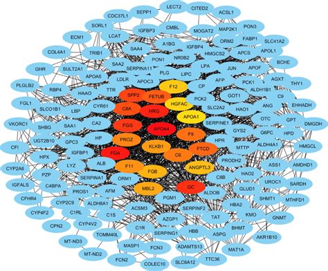 Protein Protein Interaction Network And The Selected Hub Genes From The Download Scientific