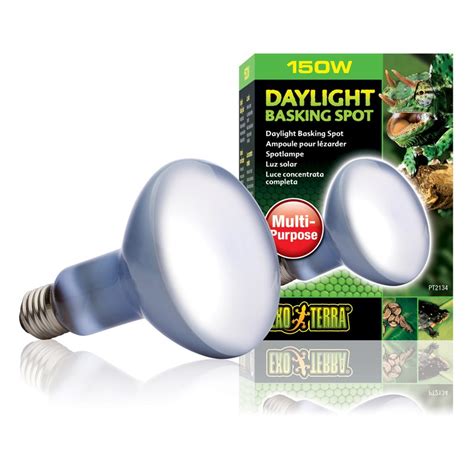 EXO TERRA Daylight Basking Spot 150 W Lampe chauffante pour reptiles à