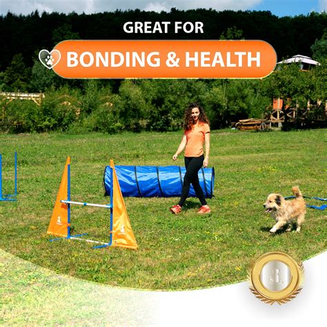 How Far Apart Are Dog Agility Poles