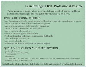 Lean Six Sigma Belt Resume Smarter Solutions Inc