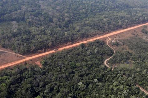 Lawmakers in Brazil pass bill to pave highway through Amazon rainforest