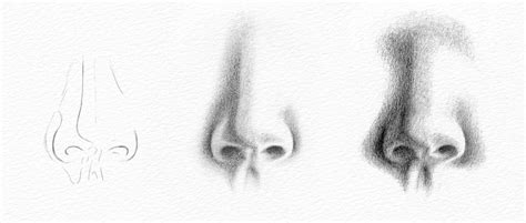 Nose Pencil Drawing Step By Step - bestpencildrawing