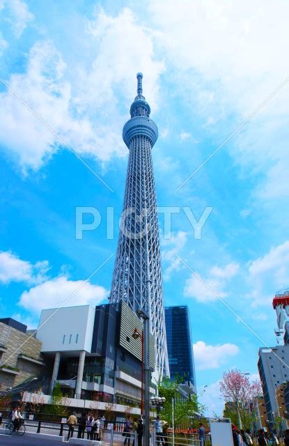 晴天の東京スカイツリー Id 6926 ご当地写真・イラスト素材サイト Pictyピクティ