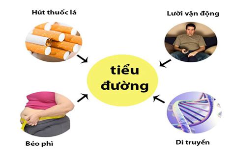 Nguyên Nhân Gây Bệnh Tiểu đường Là Gì Và Cách điều Trị