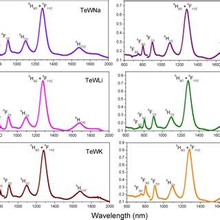 Optical Absorption Spectra Of Dy Ions Doped Single And Mixed Alkali