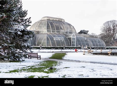 The Palm House - snow covered glasshouse at Kew Gardens in Winter ...